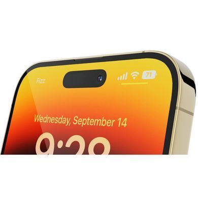 iPhone 14 Pro Max 256 ГБ Gold (MQ8V3) 2 eSIM